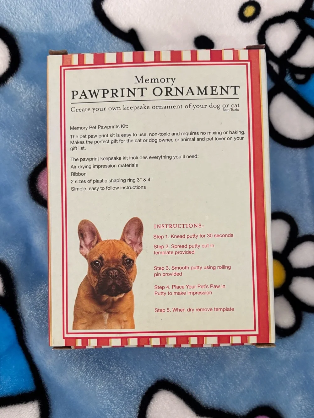 Paw print ornament kit